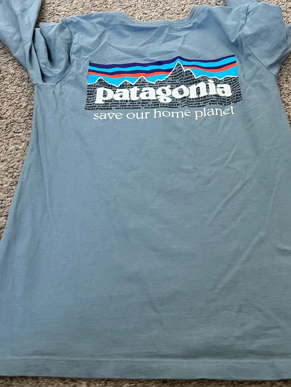 Patagonia light blue